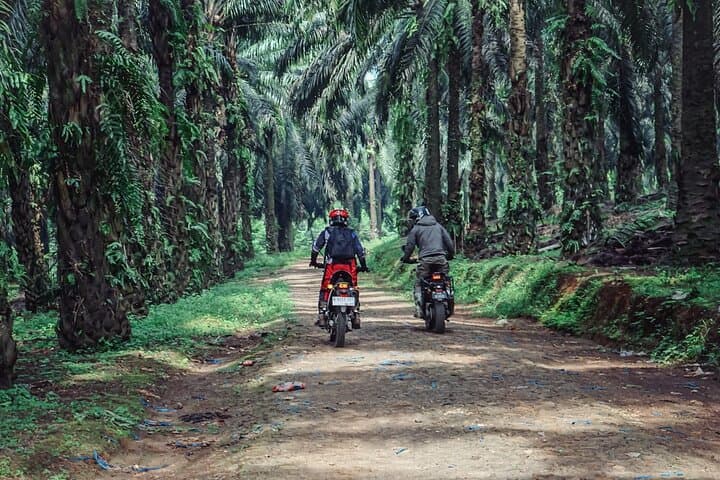 Jakarta to Rumpin: 1-Day Motorcycle Adventure Through West Java’s Rivers and Rainforest photo 6