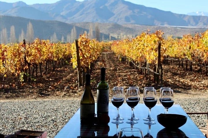 High Andes Inca Lagoon and InSitu Winery Day Trip from Santiago photo 3