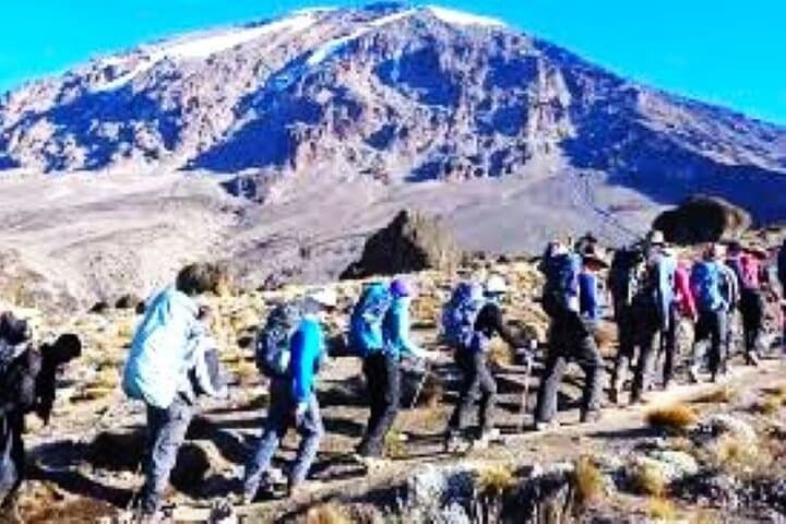 4-Day Mount Kenya Climb to Point Lenana — Summit, Glaciers & Wildlife photo 5