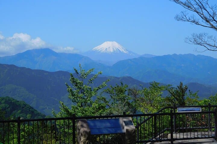 Mt. Takao Day Hike with Cable Car, Ramen and Tattoo-Friendly Hot Spring photo 2