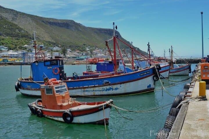Boulders Penguins, Chapman's Peak & Cape Point: Electric Peninsula Tour from Cape Town photo 2