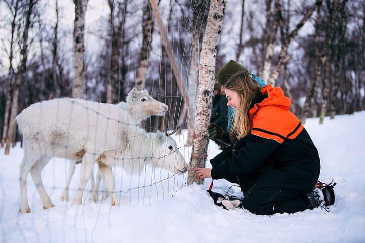 Tromsø Snowmobile Safari to Ice Domes and Reindeer Visit photo 2