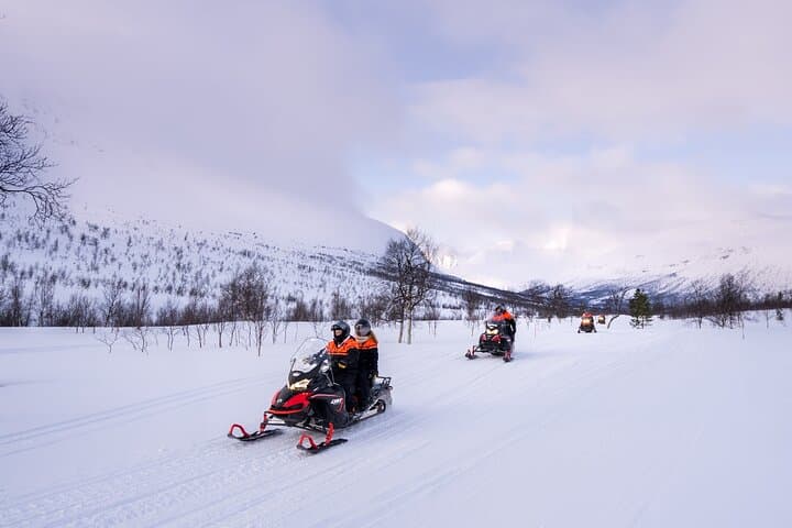 Guided Midday Snowmobiling at Camp Tamok: Arctic Safari from Tromsø