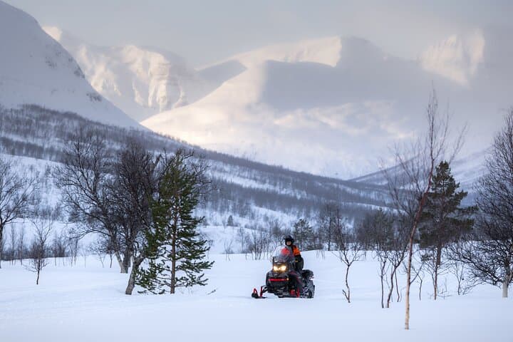 Guided Midday Snowmobiling at Camp Tamok: Arctic Safari from Tromsø photo 3