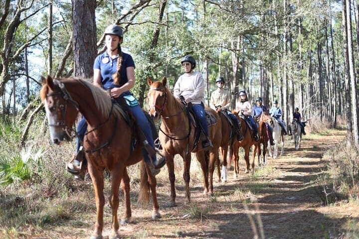 Two-Hour Guided Horseback Ride on Rock Springs Run — Central Florida Trail Adventure