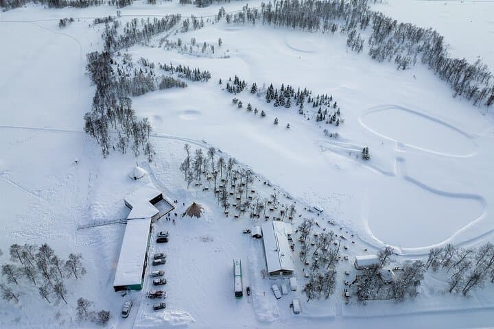 Self-Drive Dog Sledding from Tromsø: Noon Husky Adventure & Lyngen Views photo 6