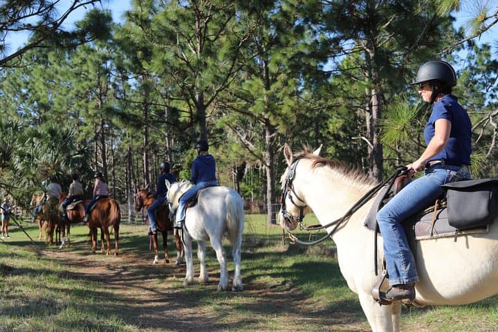 Two-Hour Guided Horseback Ride on Rock Springs Run — Central Florida Trail Adventure photo 2
