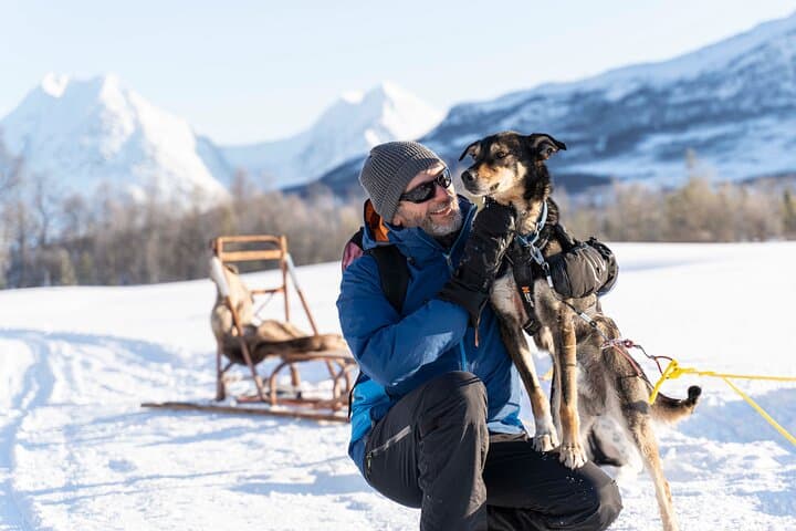 Dog Sledding from Tromsø: Easy Huskies Day Tour to Breivikeidet photo 5