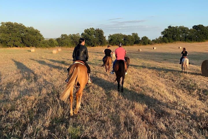 Saddle Up: Horseback Ride Through the Tolfa Mountains near Lake Bracciano photo 3