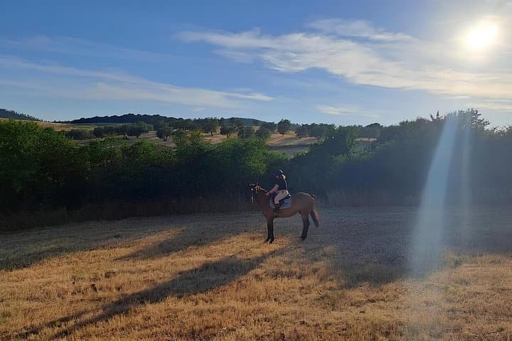 Saddle Up: Horseback Ride Through the Tolfa Mountains near Lake Bracciano photo 1
