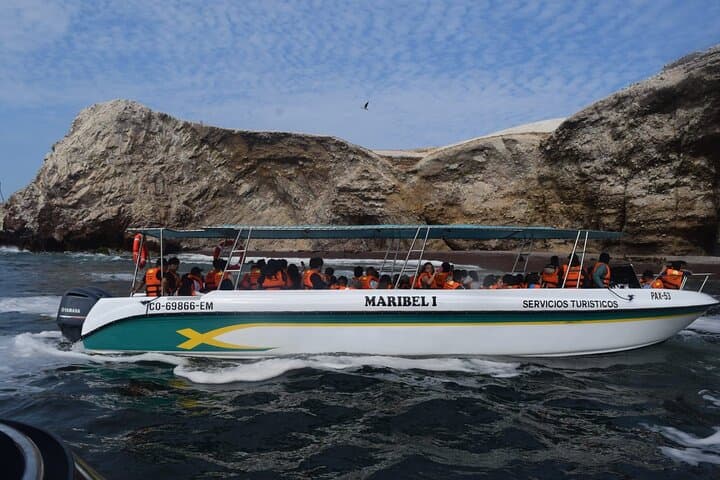 Paracas & Huacachina Day Trip from Lima: Ballestas Islands, Wine Tasting & Dune Buggies photo 1