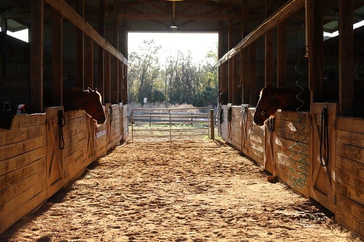 Barn Day for Little Cowboys and Cowgirls — Orlando Family Pony Rides & Crafts photo 3