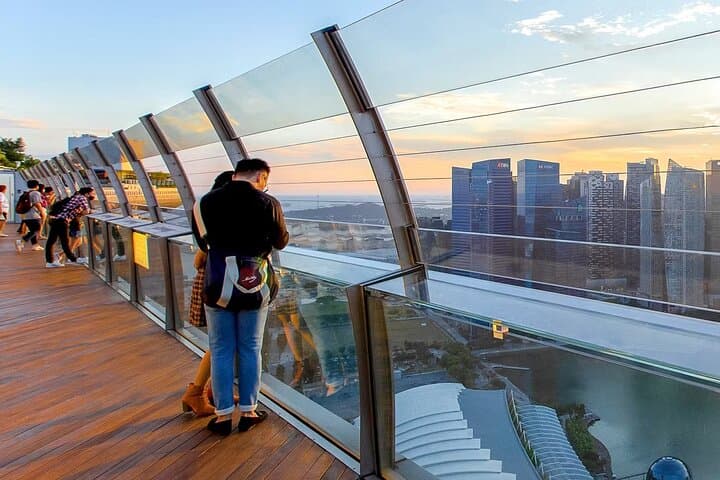 Singapore Flyer Combo: Gardens by the Bay, SkyPark & ArtScience Views photo 5