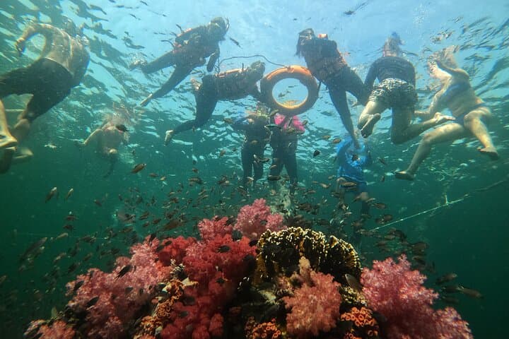 Ko Lipe 5-Island Snorkel by Longtail: Coral Gardens, Black Stones & Beach Lunch photo 1
