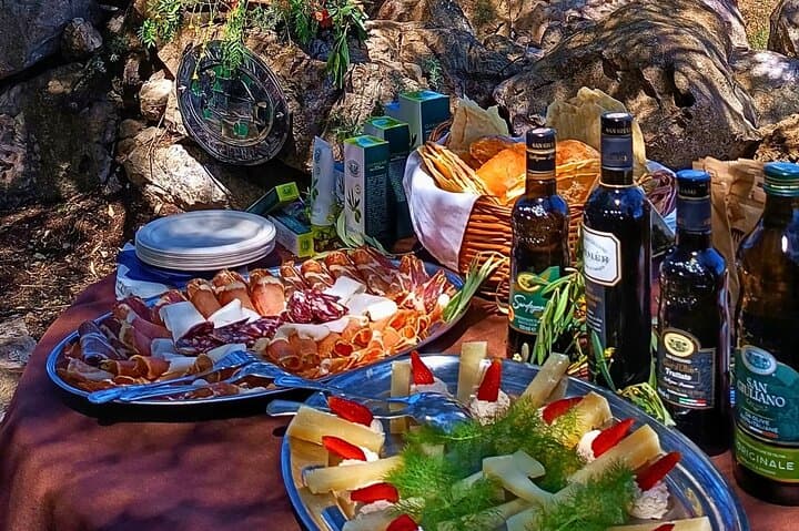 Alghero Olive Grove Visit: Farm Tour and Traditional Oil Tasting