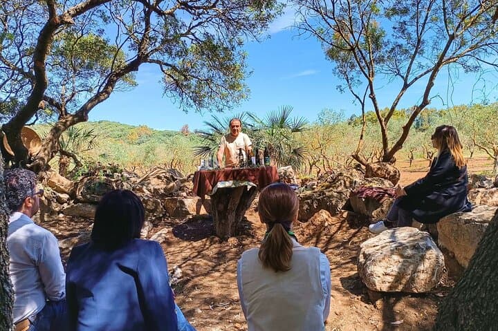 Alghero Olive Grove Visit: Farm Tour and Traditional Oil Tasting photo 5