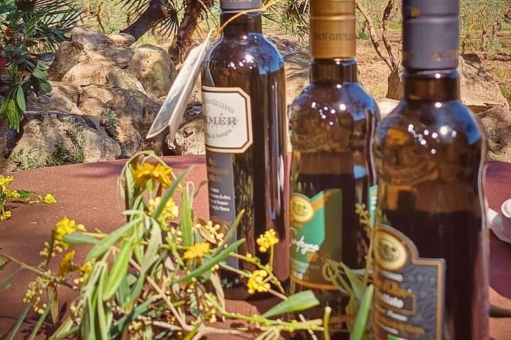 Alghero Olive Grove Visit: Farm Tour and Traditional Oil Tasting photo 4