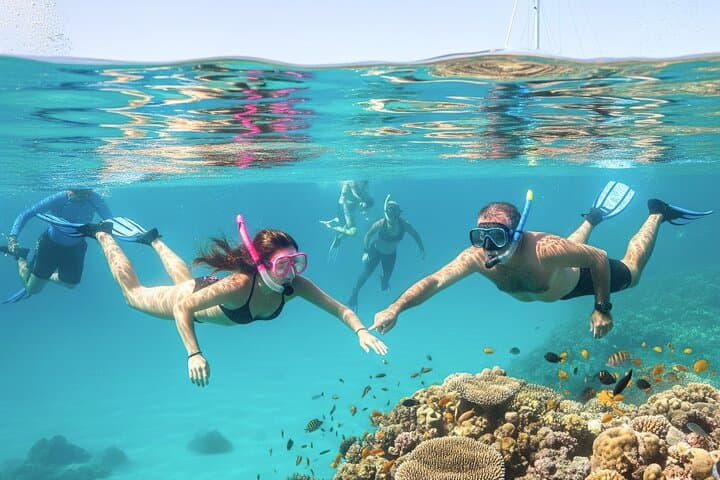 Miami to Key West Day Trip — Snorkeling, Dolphin Watching & Glass-Bottom Boat photo 3