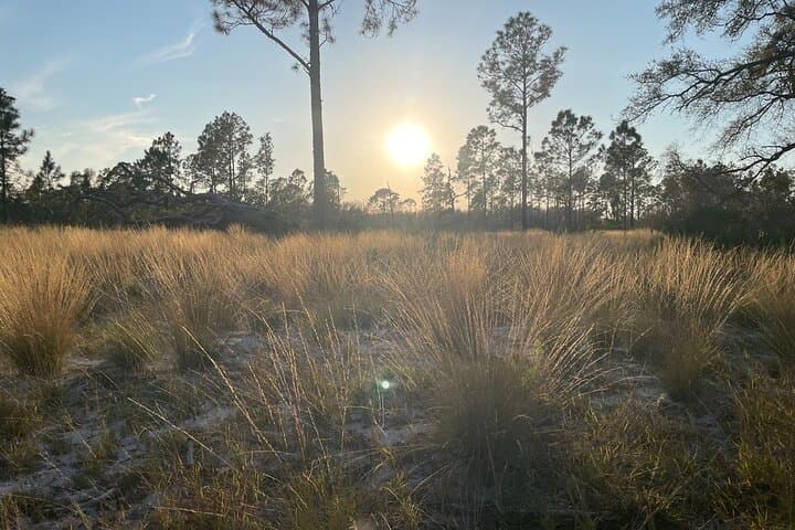 Sunset Horseback Ride and Campfire at Rock Springs Run (Orlando) photo 5