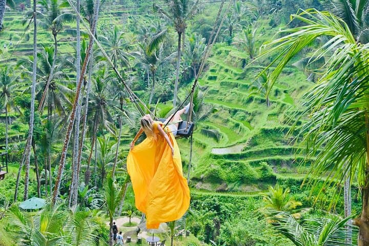 Private Ubud Full-Day: Monkey Forest, Tegallalang Rice Terraces, Tirta Empul & Coffee Plantation photo 2