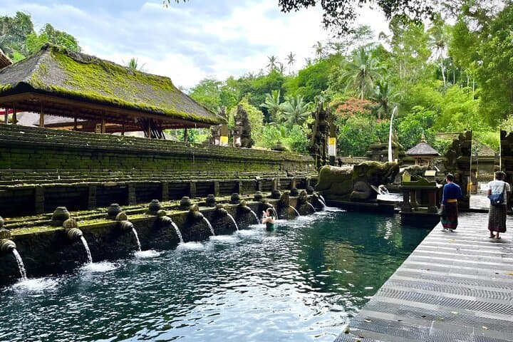 Private Ubud Full-Day: Monkey Forest, Tegallalang Rice Terraces, Tirta Empul & Coffee Plantation photo 3
