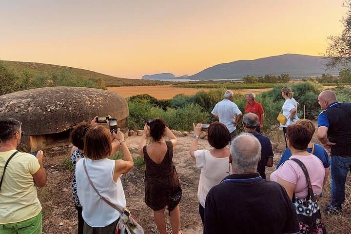 Discover the Bee Garden at Guardia Grande — Porto Conte's Pollinator Oasis photo 3