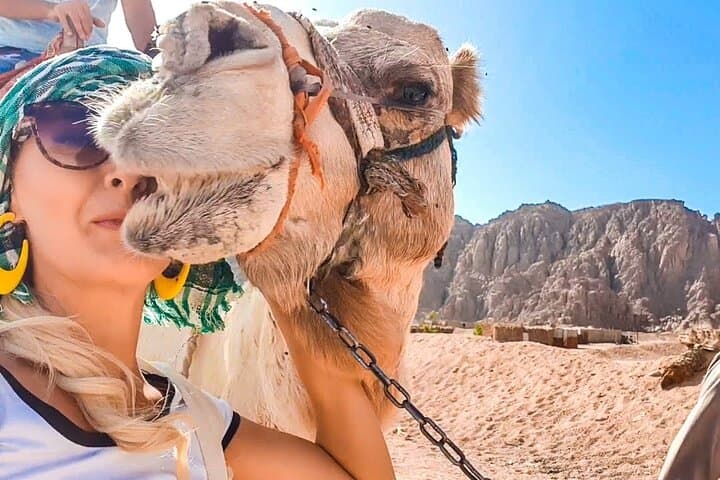 Hurghada Desert Safari: Quads, Buggies, Bedouin Village & Camel Ride
