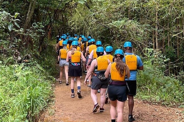 El Yunque Zipline and Waterfall Hike: Canopy Combo Tour photo 3
