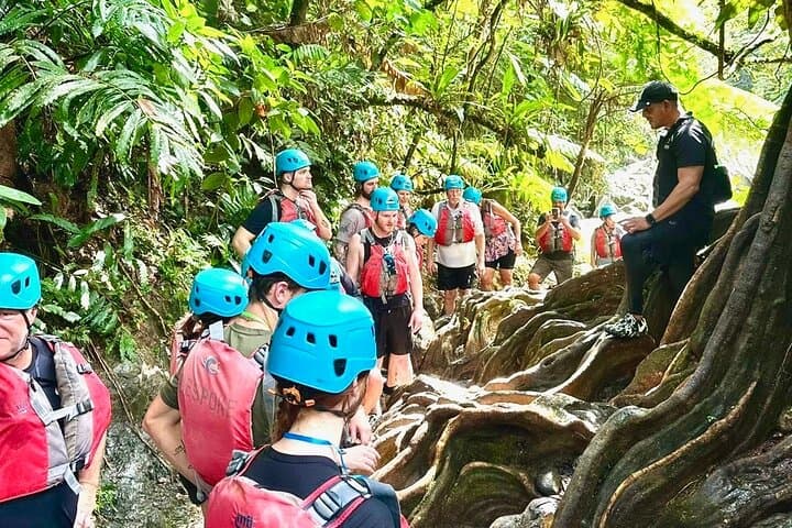 El Yunque Rainforest Waterfall Adventure from San Juan photo 2