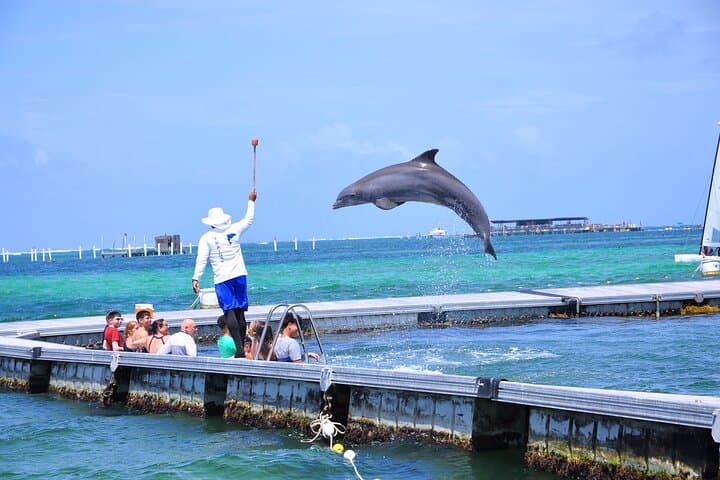 Private Punta Cana Catamaran Party: Snorkel, Natural Pool & Open Bar photo 4