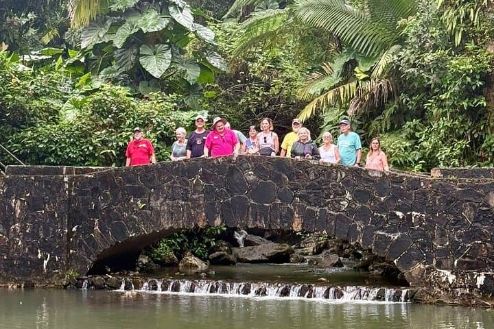 Half-Day El Yunque Rainforest Tour from San Juan — La Coca Falls & Yocahu Tower photo 6