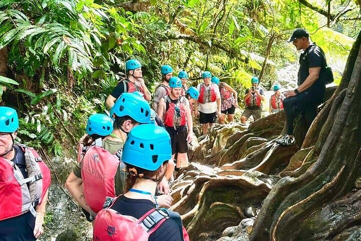 El Yunque Rainforest Waterslides: Full-Day Hike from San Juan photo 2