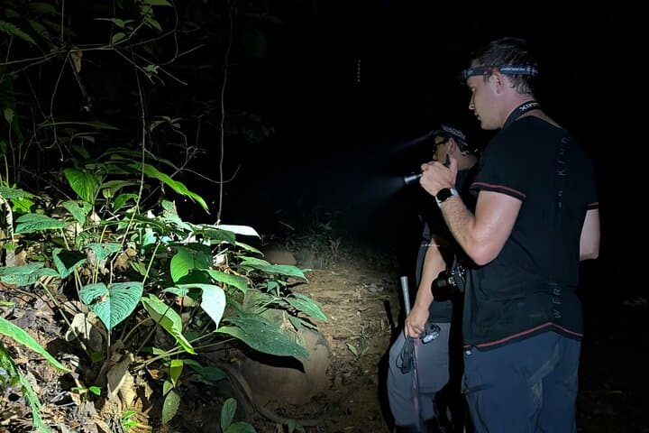 Night Waterfall & Nocturnal Safari at Bonito Creek — Near Panama City photo 4