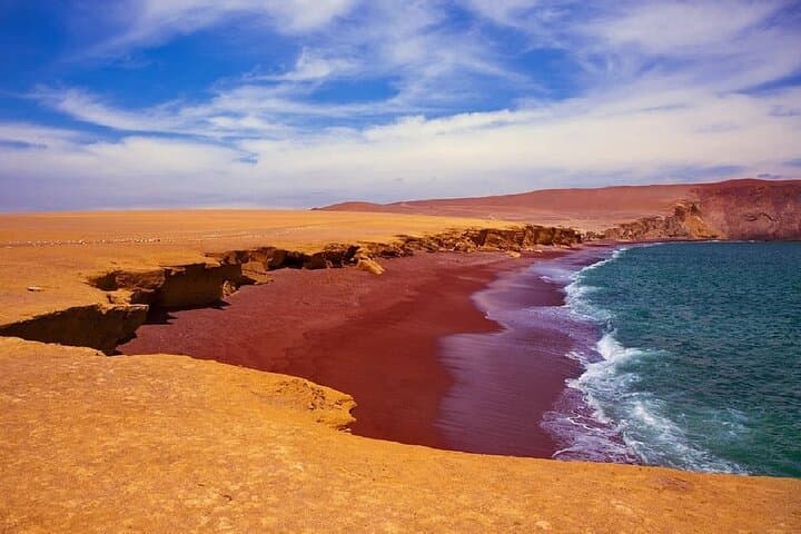 Ballestas Islands & Paracas National Reserve Full-Day Boat Tour photo 2