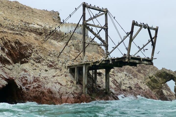 Ballestas Islands & Paracas National Reserve Full-Day Boat Tour photo 4