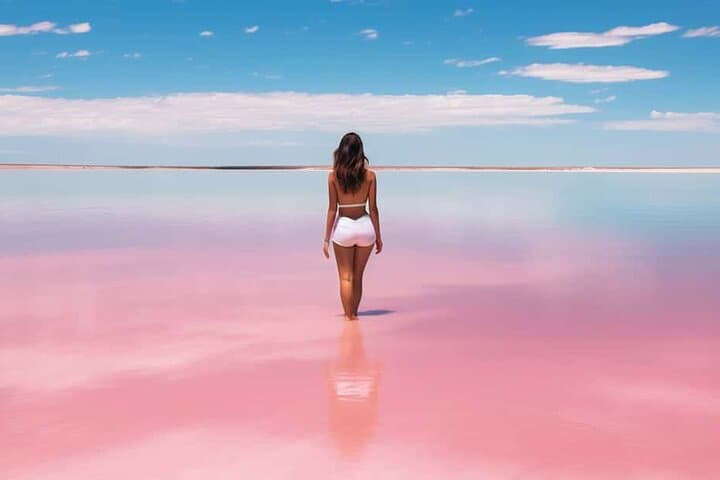 Day Trip to Río Lagartos & Las Coloradas: Pink Lakes, Mangroves & Flamingos from Cancun photo 2
