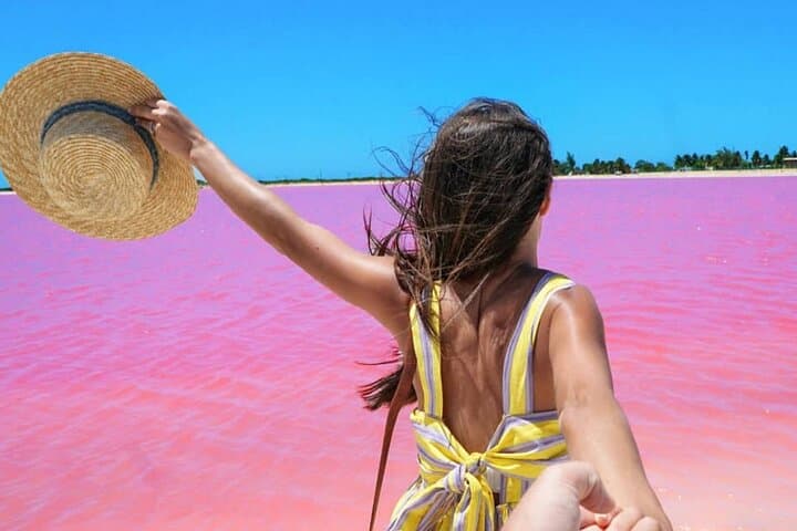 Day Trip to Río Lagartos & Las Coloradas: Pink Lakes, Mangroves & Flamingos from Cancun photo 5