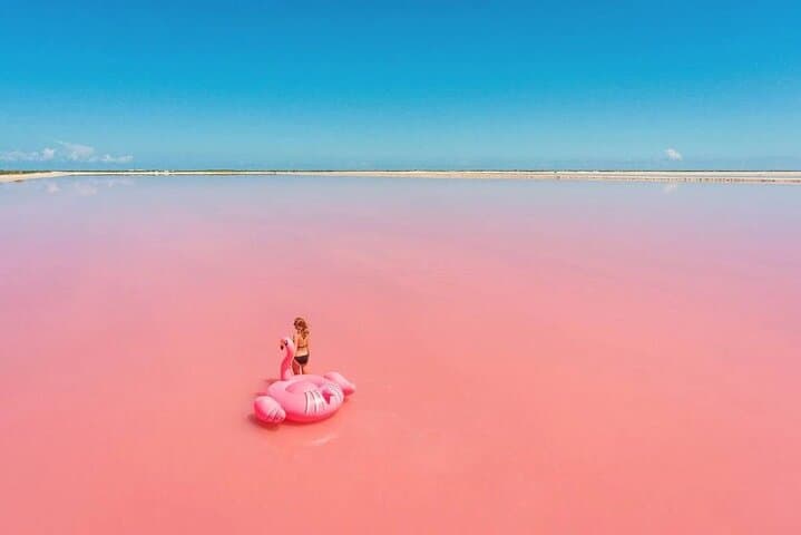 Day Trip to Río Lagartos & Las Coloradas: Pink Lakes, Mangroves & Flamingos from Cancun