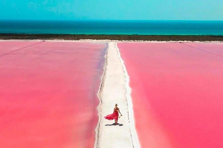 Day Trip to Río Lagartos & Las Coloradas: Pink Lakes, Mangroves & Flamingos from Cancun photo 6