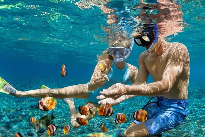 Roatán Jetski and Snorkel Adventure: Port Transfers to West Bay Reefs photo 4