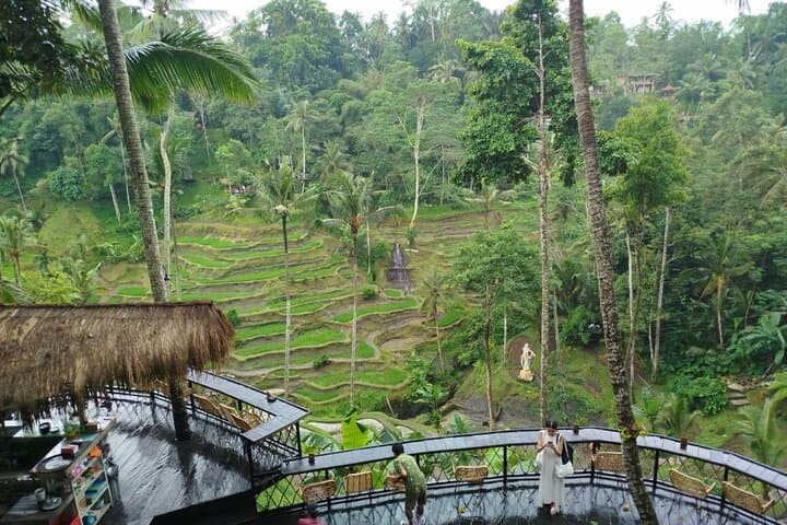 Ubud Discovery Day Tour: Rice Terraces, Monkey Forest & Sacred Sites