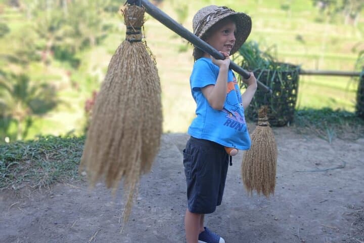 Ubud Discovery Day Tour: Rice Terraces, Monkey Forest & Sacred Sites photo 4