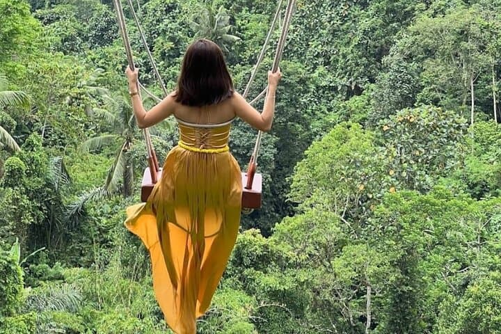 Ubud Discovery Day Tour: Rice Terraces, Monkey Forest & Sacred Sites photo 5