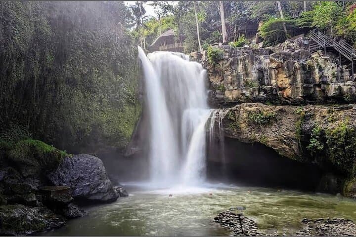 Ubud Discovery Day Tour: Rice Terraces, Monkey Forest & Sacred Sites photo 6