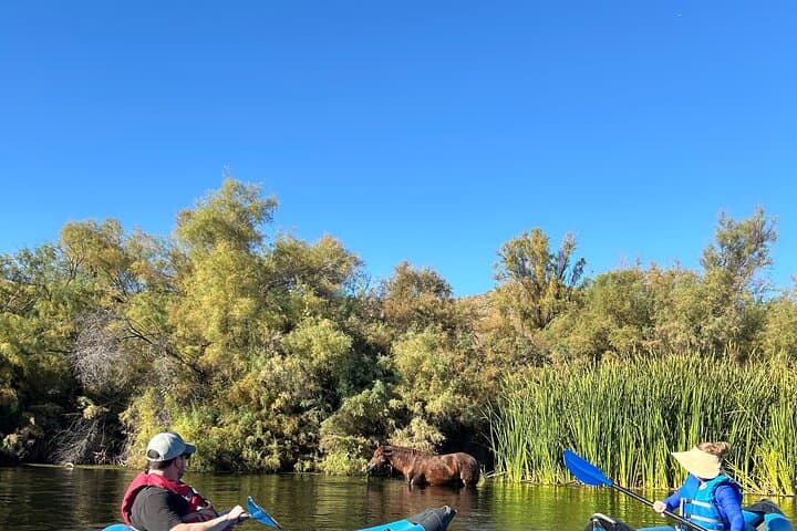 Lower Salt River Guided Kayak Tours — Wild Horses & Easy Flatwater Kayaking near Phoenix photo 6