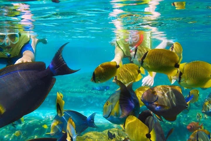 Roatán Jetski and Snorkel Adventure: Port Transfers to West Bay Reefs photo 2