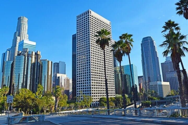 Private Full-Day Los Angeles Tour from Huntington Beach: Griffith to Venice Beach photo 2