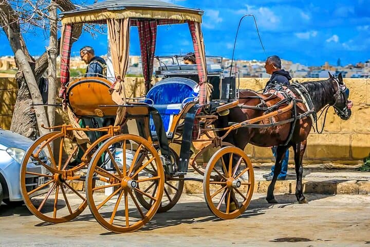 Private 4-Day Malta Highlights Tour: Valletta, Gozo & Blue Grotto