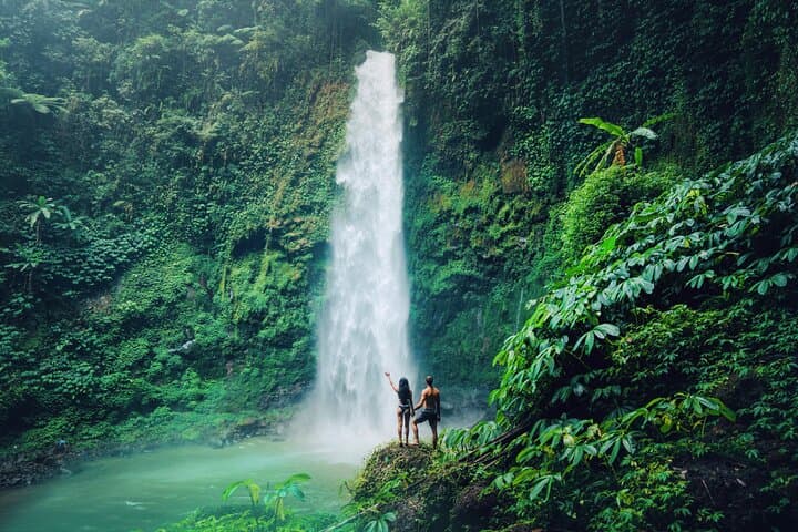 Private Ubud Full-Day: Monkey Forest, Tegallalang Rice Terraces, Tirta Empul & Coffee Plantation photo 5