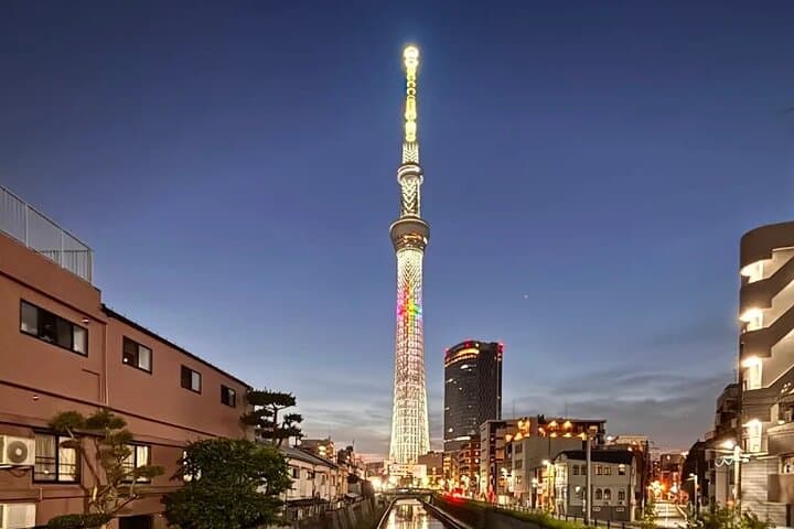 Private Tokyo Night Tour: Rainbow Bridge, Skytree & Shibuya After Dark